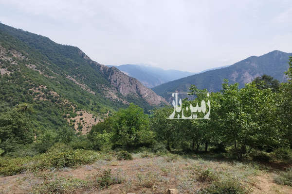 فروش زمین باغ گلستان ۲۰۰۰۰ متر علی آباد کتول روستای شیرین آباد-3