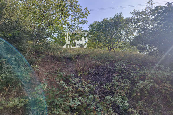 فروش زمین باغ گلستان ۲۰۰۰۰ متر علی آباد کتول روستای شیرین آباد-4