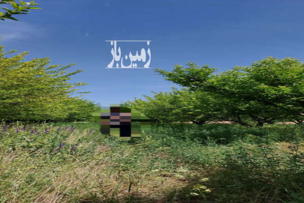 فروش زمین کشاورزی زنجان ۴۷۰۰۰ متر سلطانیه به سمت خیر آباد روستای سارجالو-1