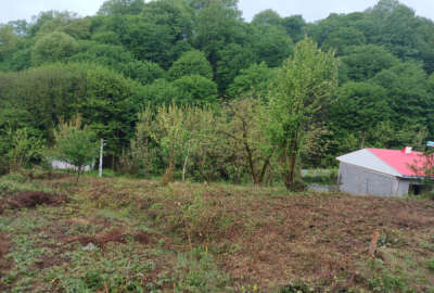 فروش زمین مسکونی گیلان ۲۰۰ متر اطاقور روستای پروش