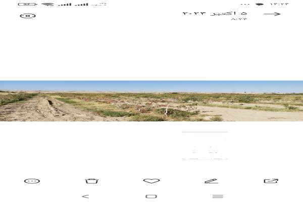 فروش زمین باغ یزد ۱۰۰ هکتار مروست روستای هرابرجان-1