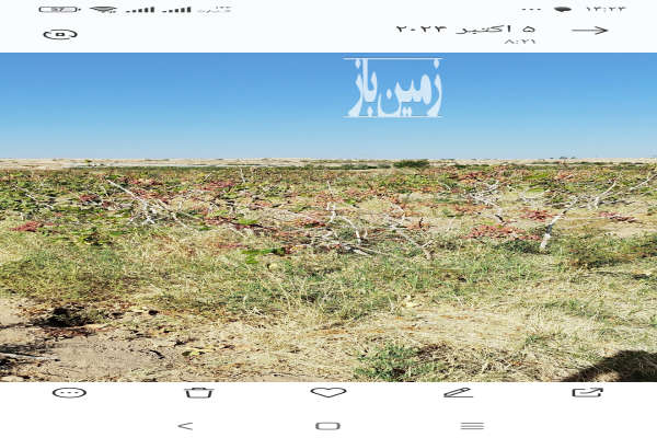 فروش زمین باغ یزد ۱۰۰ هکتار مروست روستای هرابرجان-3