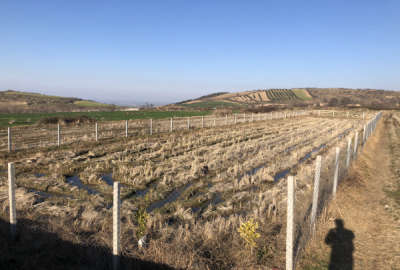 فروش زمین باغ صنعتی کشاورزی گلستان ۱۵۰۰ متر گرگان روستای قرن آباد