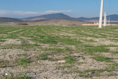 فروش زمین کشاورزی کرمانشاه ۴۳۵۰ متر میان‌ راهان روستای امین آباد