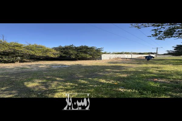 فروش زمین باغ شمال ۳۰۰۰ متر قائمشهر جاده جویبار روستای دیوکلا-4