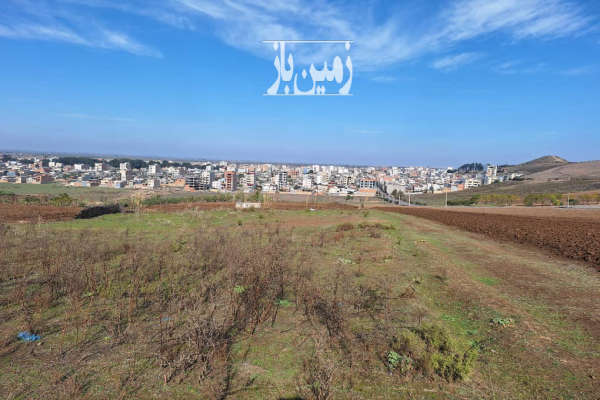 فروش زمین باغ کشاورزی گلستان ۳۰۰ متر آزادشهر زيتون تپه-3