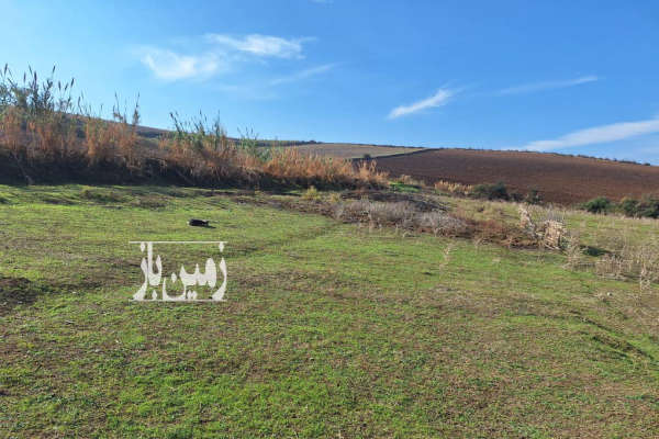 فروش زمین باغ کشاورزی گلستان ۳۰۰ متر آزادشهر زيتون تپه-4