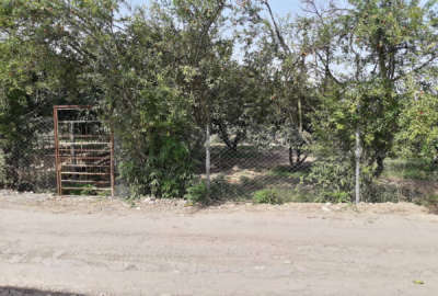 فروش زمین مسکونی باغ شمال ۹۷۲ متر بهشهر کمربندی