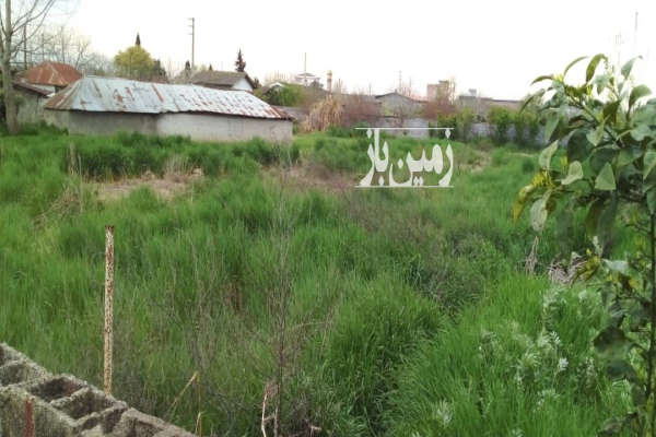 فروش زمین مسکونی شمال ۱۰۰۰ متر بهنمیر جاده کیاکلا روستای تنبلا-1