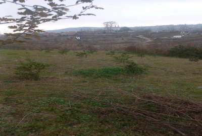 فروش زمین باغ شمال ۳۵۰ متر ساری روستای پایین کولا
