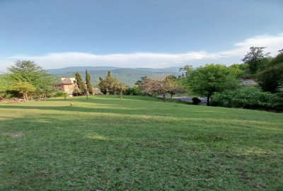 فروش زمین مسکونی شمال ۱۲۷۸ متر چالوس روستای سینوا