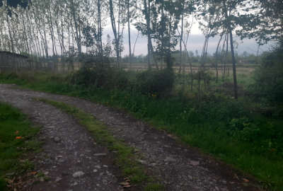 فروش زمین مسکونی گیلان ۴۳۳ متر سنگر روستای ویشکاننک
