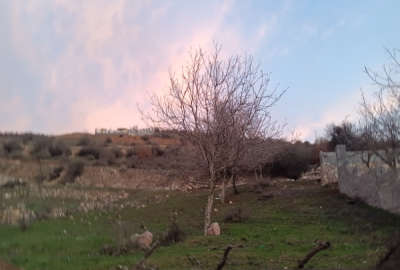 فروش زمین مسکونی باغ شمال ۲۰۰ متر نوشهر کجور روستای پول
