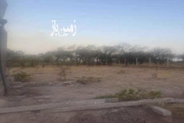 فروش زمین باغ قزوین ۸۹۰ متر محمدیه-1