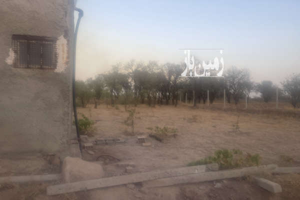 فروش زمین باغ قزوین ۸۹۰ متر محمدیه-2
