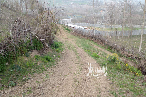 فروش زمین باغ شمال ۹۸۱ متر ساری روستای امره-1