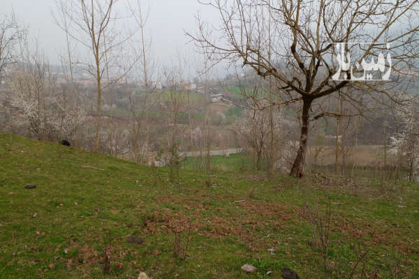 فروش زمین باغ شمال ۹۸۱ متر ساری روستای امره-3
