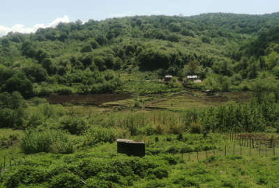 فروش زمین مسکونی گیلان ۸۳۰ متر رشت روستای کچا