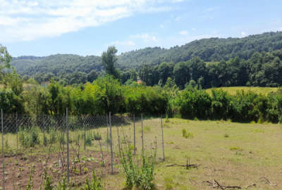 فروش زمین باغ شمال ۱۷۰ متر ساری شهرک فرهنگیان روستای رود پشت