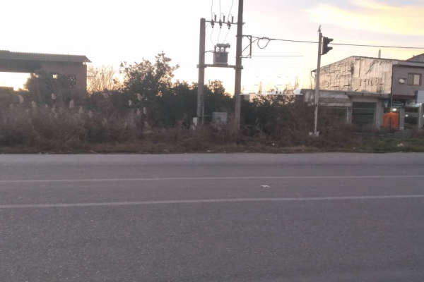 فروش زمین مسکونی تجاری باغی شمال ۲۱۴ متر سورک میاندرود روستای زیدعلیا-1