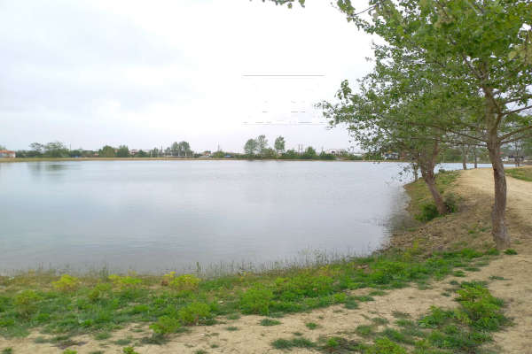 فروش زمین کشاورزی شمال ۱۴۰ متر چمستان اناده شهرکی-3