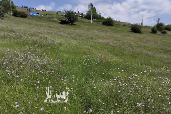 فروش زمین مسکونی گیلان ۲۰۰۰ متر هشتپر روستای ییلاقی ریک لر-1
