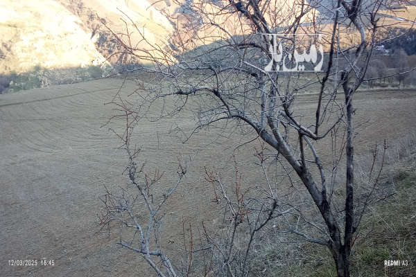 فروش زمین کشاورزی خراسان شمالی ۲ هکتار بجنورد جاده قدیم بدرانلو-3