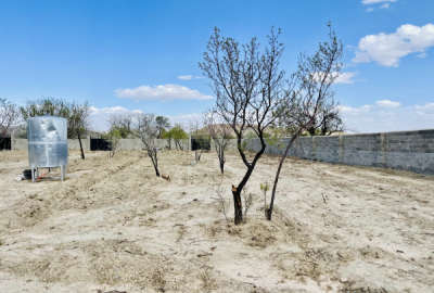 فروش زمین باغ آذربایجان شرقی ۵۷۱ متر صوفیان روستای سرکندیزج