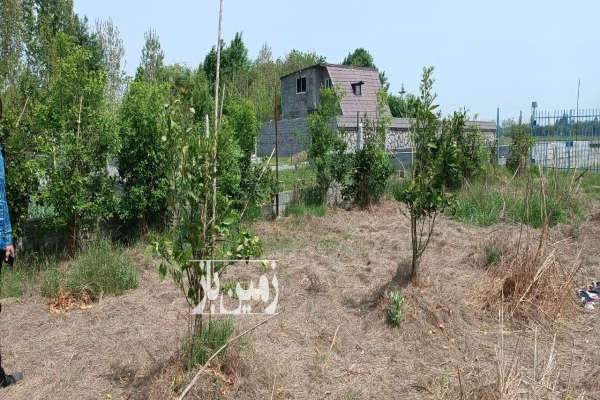 فروش زمین باغ کشاورزی شمال ۸۱۳ متر قائمشهر کوچکسرا روستای کروا-2