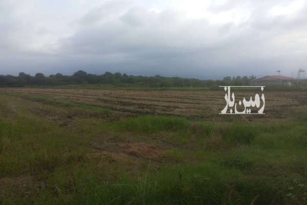 فروش زمین کشاورزی شمال یک هکتار آمل روستای چنگاز-1
