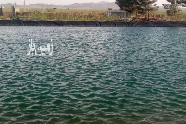 فروش زمین باغ تهران ۱۱۵۰ متر رباط کریم اتوبان ساوه مجتمع باران روستای پک-1