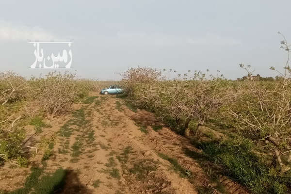 فروش زمین باغ تهران ۱۱۵۰ متر رباط کریم اتوبان ساوه مجتمع باران روستای پک-2