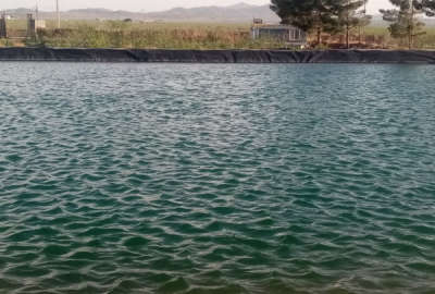 فروش زمین باغ تهران ۱۱۵۰ متر رباط کریم اتوبان ساوه مجتمع باران روستای پک