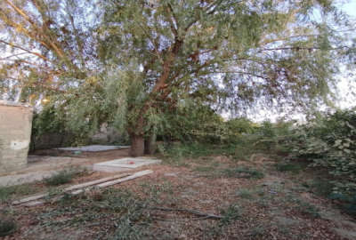 فروش زمین باغ فارس ۱۰۰۰ متر شیراز روستای حسین اباد