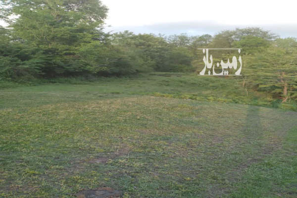 فروش زمین کشاورزی شمال ۱۴۰۰ متر شیرگاه-2