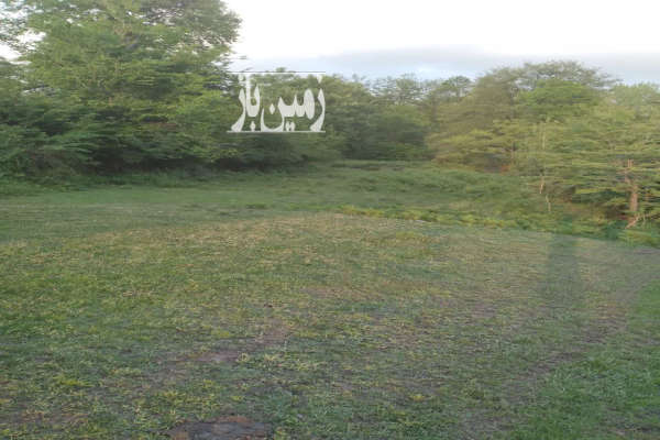فروش زمین کشاورزی شمال ۱۴۰۰ متر شیرگاه-3