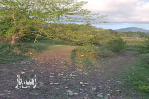 فروش زمین کشاورزی شمال ۱۴۰۰ متر شیرگاه-4