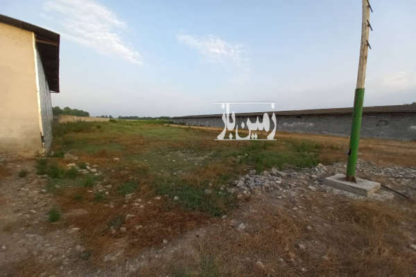 فروش زمین صنعتی شمال ۸۱۶۸ متر محمودآباد روستای ازادمون-3