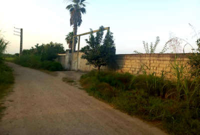 فروش زمین صنعتی شمال ۸۱۶۸ متر محمودآباد روستای ازادمون