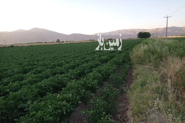 فروش باغ کشاورزی فارس ۳ هکتار مرودشت شهر استخر جاده مرودشت ارسنجان-1