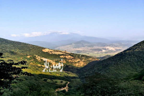 فروش زمین مسکونی گیلان ۴۲۵ متر رستم‌ آباد روستای جمشید آباد-2