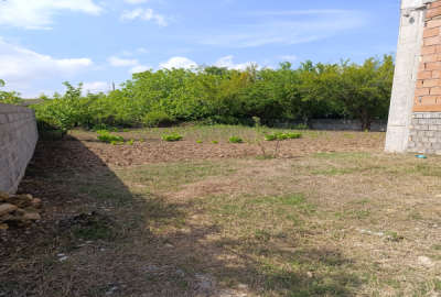 فروش زمین مسکونی شمال ۲۳۰ متر ساری جاده نکا روستای اسبوکلا