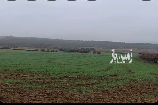 فروش زمین باغ کشاورزی گلستان ۵۰۰ متر گرگان روستای توشن-1