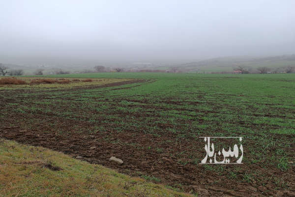 فروش زمین باغ کشاورزی گلستان ۵۰۰ متر گرگان روستای توشن-2