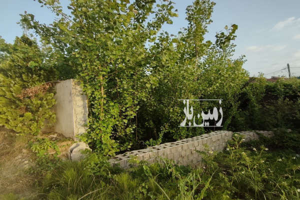 فروش زمین مسکونی گیلان ۲۵۰ متر صومعه‌ سرا رونکیان-1