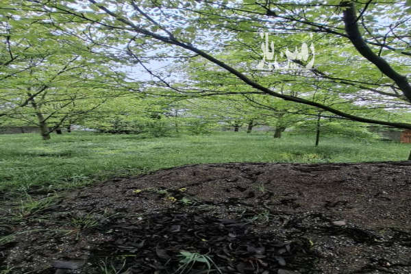 فروش زمین مسکونی باغی شمال ۱۰۰۰ متر فریم صحرا روستای پهندر-1