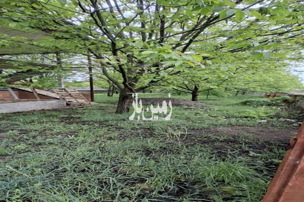 فروش زمین مسکونی باغی شمال ۱۰۰۰ متر فریم صحرا روستای پهندر-4