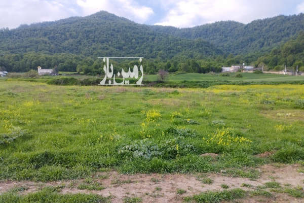 فروش زمین کشاورزی گلستان ۳۸۰۰ متر فاضل‌ آباد جنگل گلریز-2