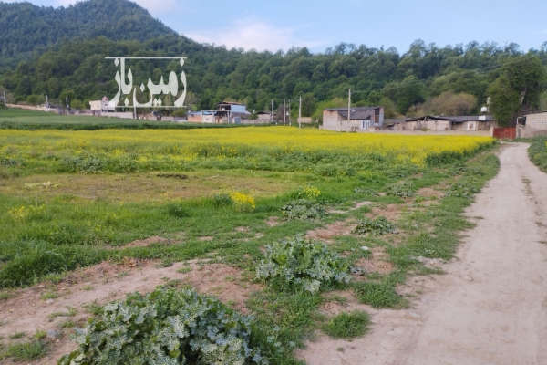 فروش زمین کشاورزی گلستان ۳۸۰۰ متر فاضل‌ آباد جنگل گلریز-3