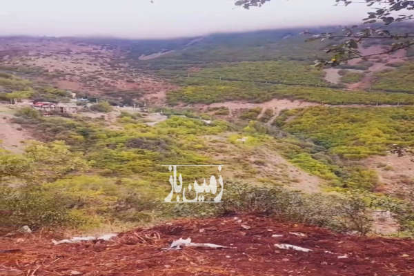 زمین کشاورزی ۱۶۰ متر جاده چالوس روستای ولی آباد-2